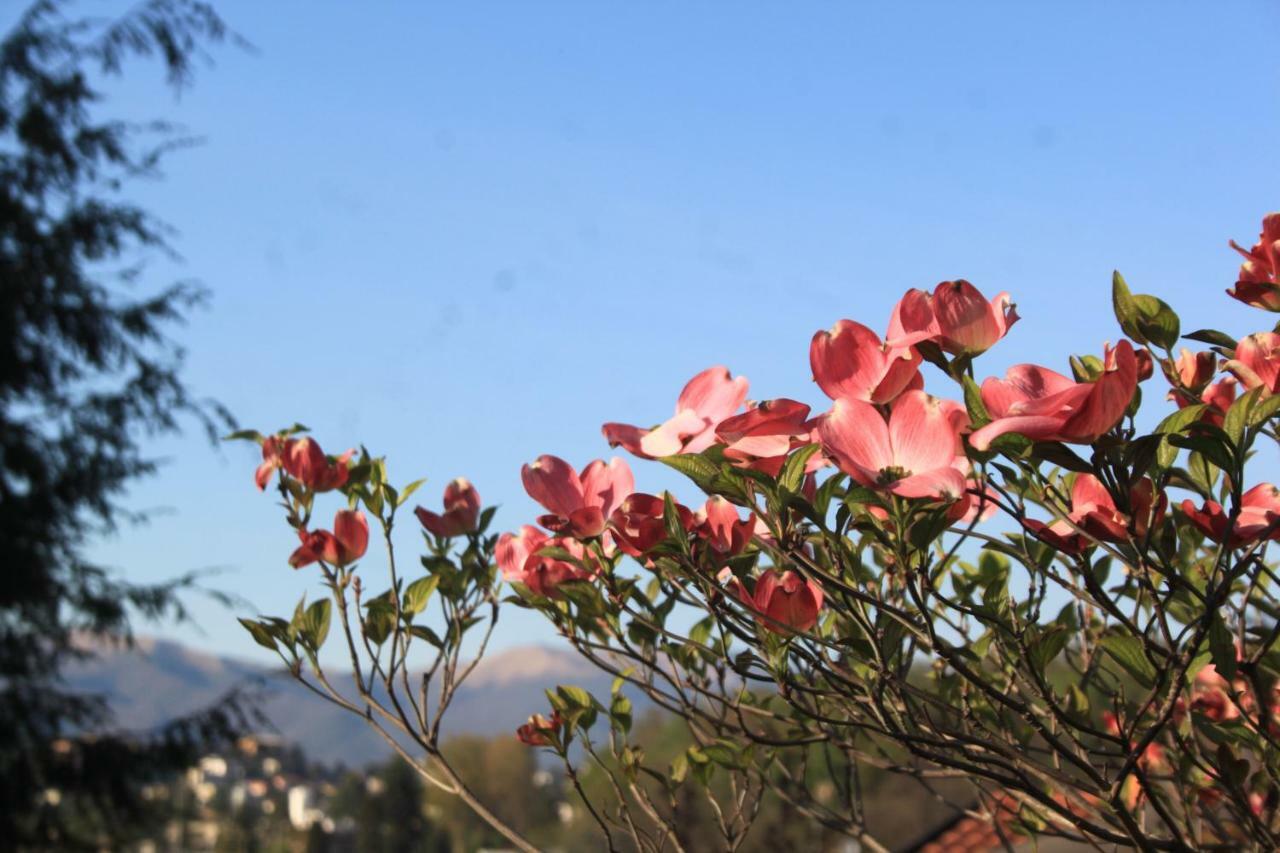 Villa Onorina Carimate Εξωτερικό φωτογραφία