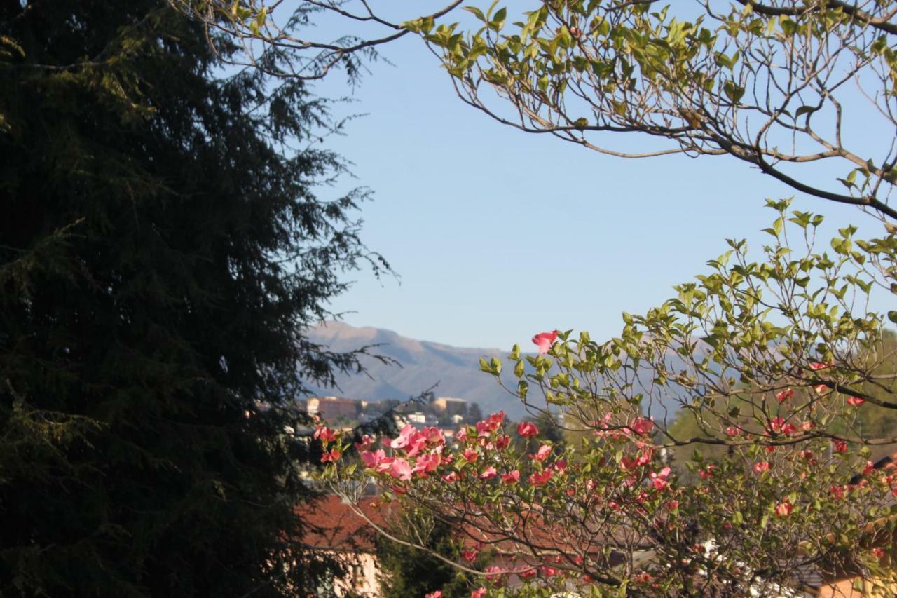 Villa Onorina Carimate Εξωτερικό φωτογραφία